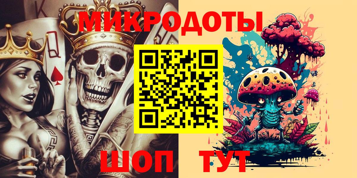 Псилоцибиновые грибы Psilocybine cubensis Буйнакск